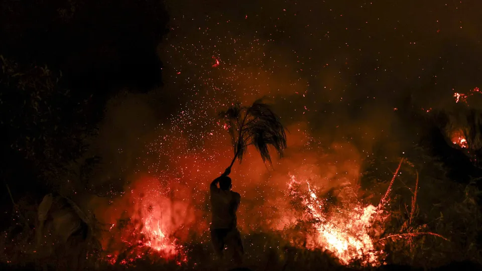 Trancoso, incêndios