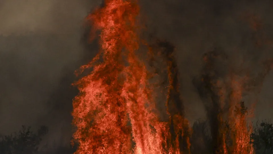 Trancoso, incêndios