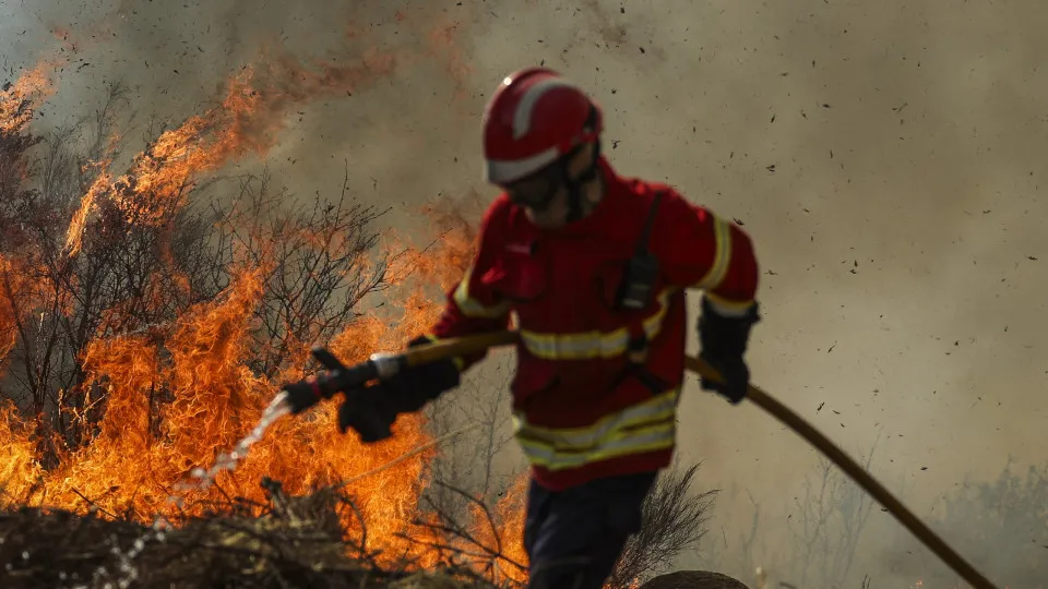 Trancoso, incêndios