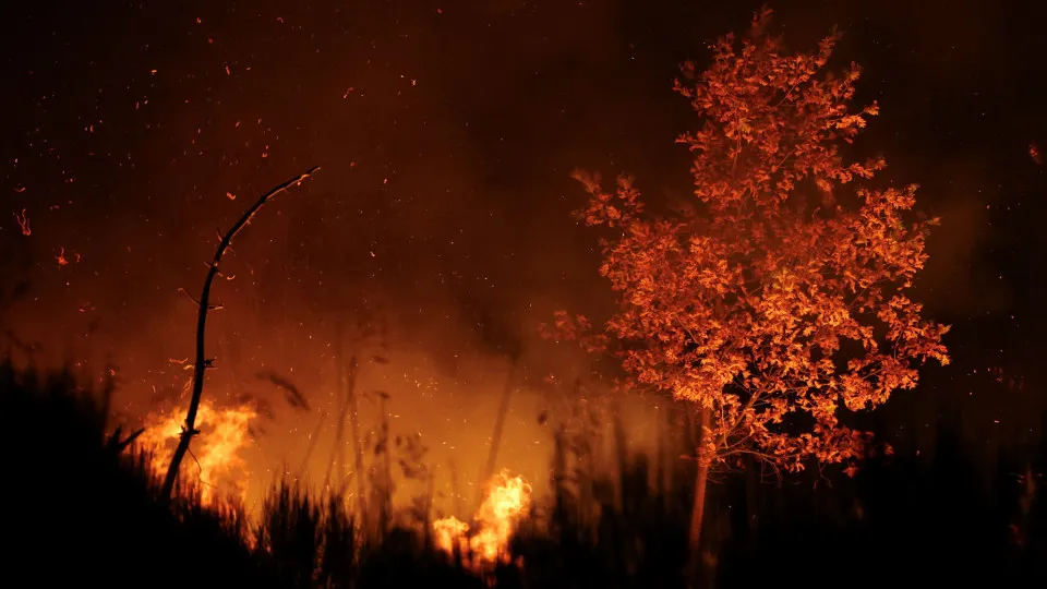 Incêndios em Portugal ; Trancoso ; Bombeiros