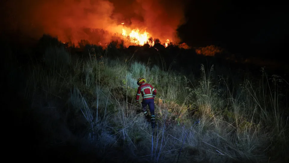 Incêndios em Portugal ; Trancoso ; Bombeiros