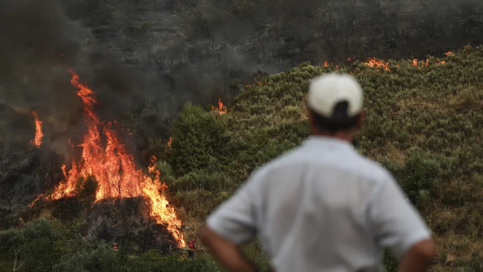 Incêndios em Portugal ; Trancoso ; Fogos