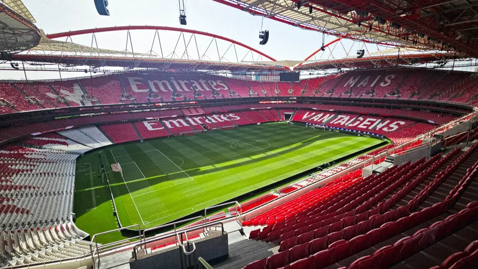 Benfica, Estádio da Luz