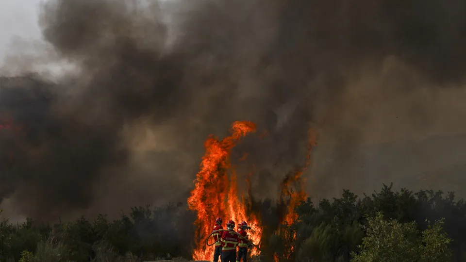 trancoso, incêndios, fogo, bombeiros