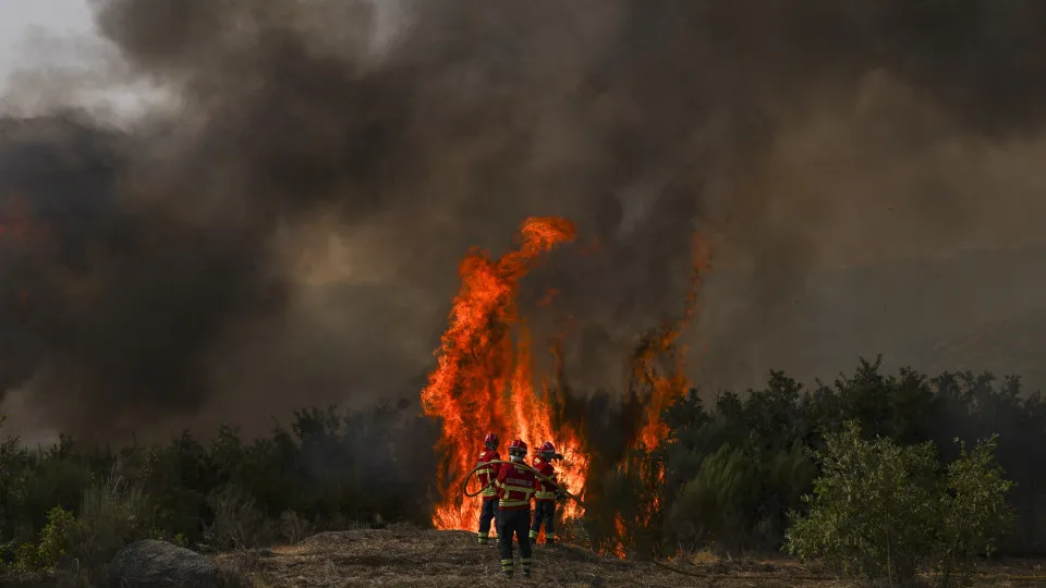 trancoso, incêndios, fogo, bombeiros