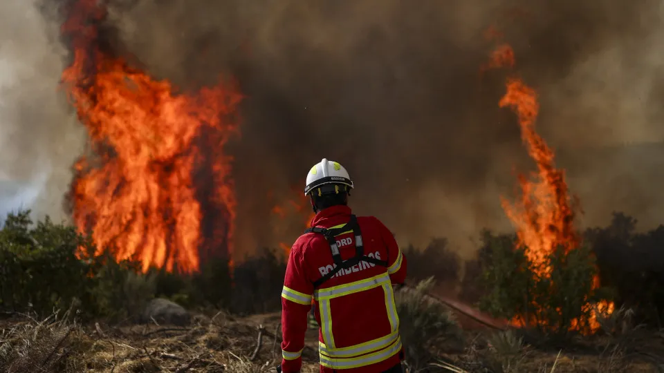 Trancoso, incêndios, bombeiros, chamas