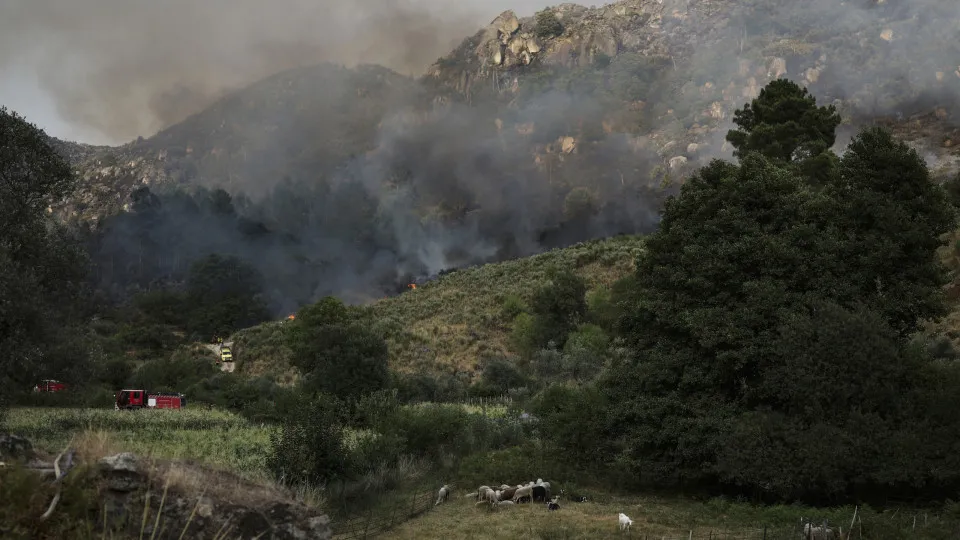 incêndio trancoso