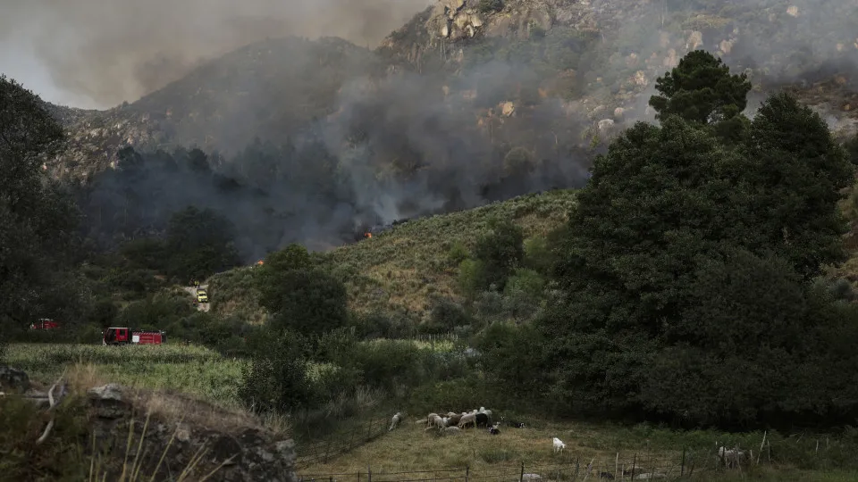 incêndio trancoso