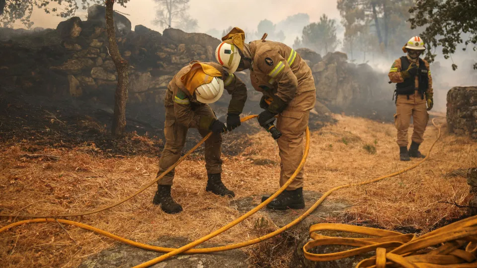 Trancoso, incêndios, bombeiros, chamas