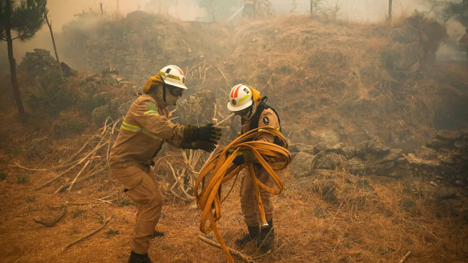 Trancoso, incêndios, bombeiros, chamas