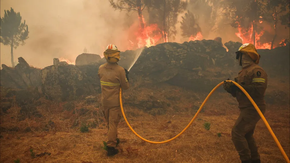 Trancoso, incêndios, bombeiros, chamas