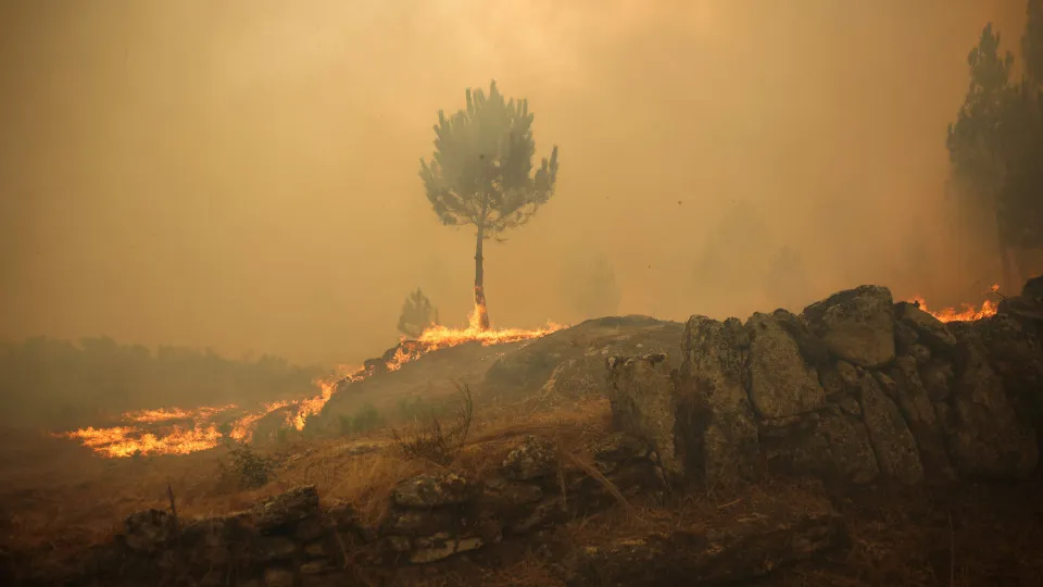 Trancoso, incêndios, bombeiros, chamas