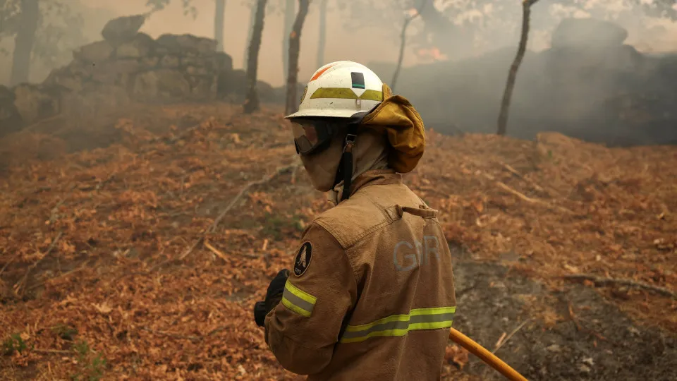 Trancoso, incêndios, bombeiros, chamas