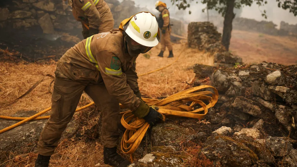 Trancoso, incêndios, bombeiros, chamas