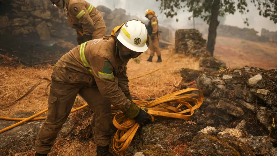 Trancoso, incêndios, bombeiros, chamas