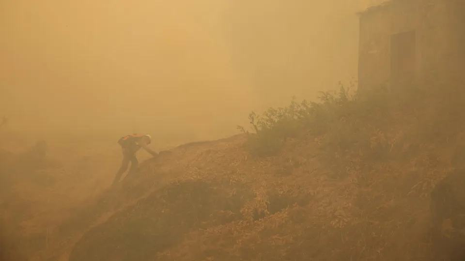 Trancoso, incêndios, bombeiros, chamas