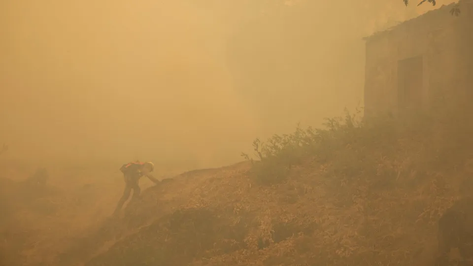 Trancoso, incêndios, bombeiros, chamas