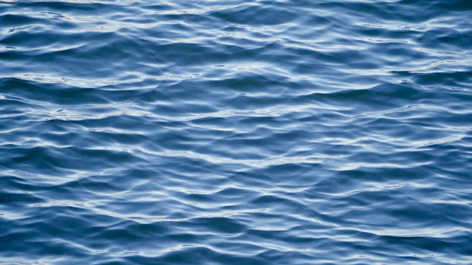 naom_689ca97466129.webp