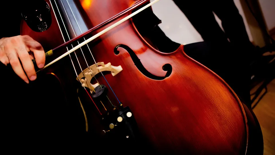 violoncelo