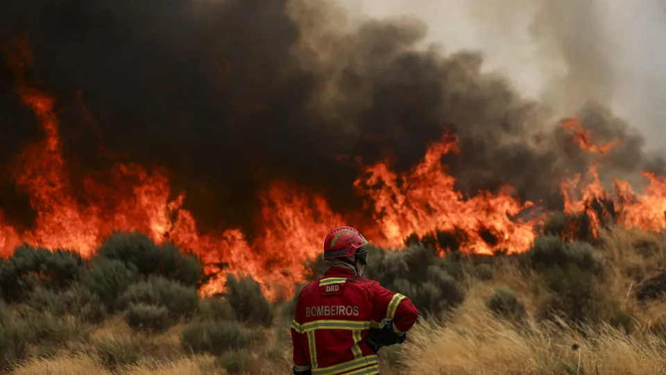 incêndios, trancoso