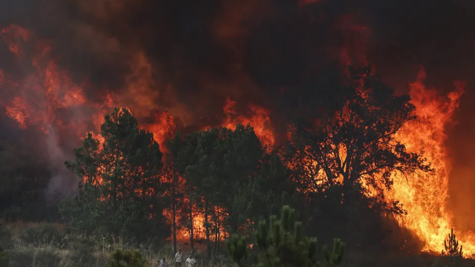 incêndios portugal