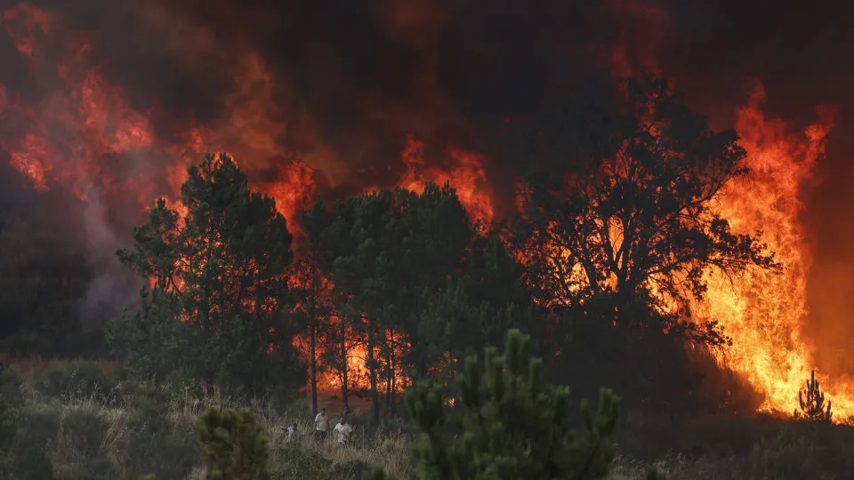 incêndios portugal