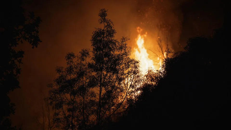 incêndio, Vila Real