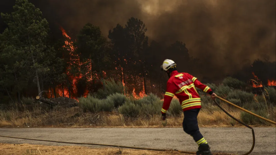 Pacto Climático pede aos municípios que protejam populações dos fogos