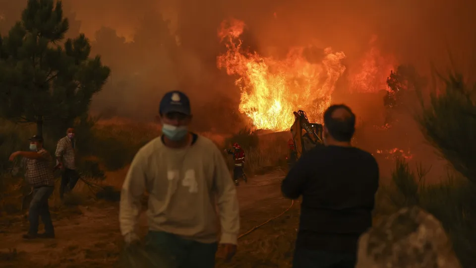 Trancoso incêndios