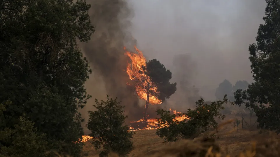 incêndio, Trancoso, 