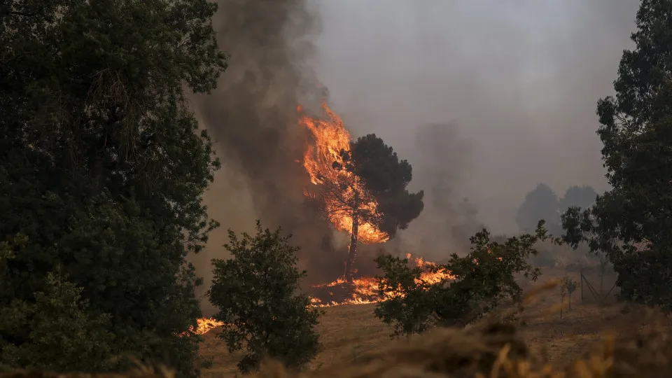 incêndio, Trancoso, 