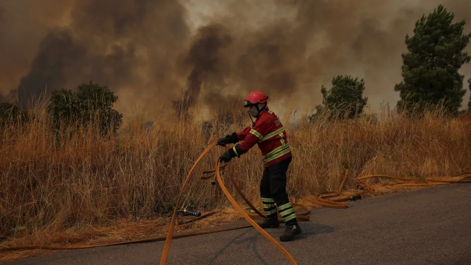 Incêndios, Portugal, Bombeiros, Fogos, 