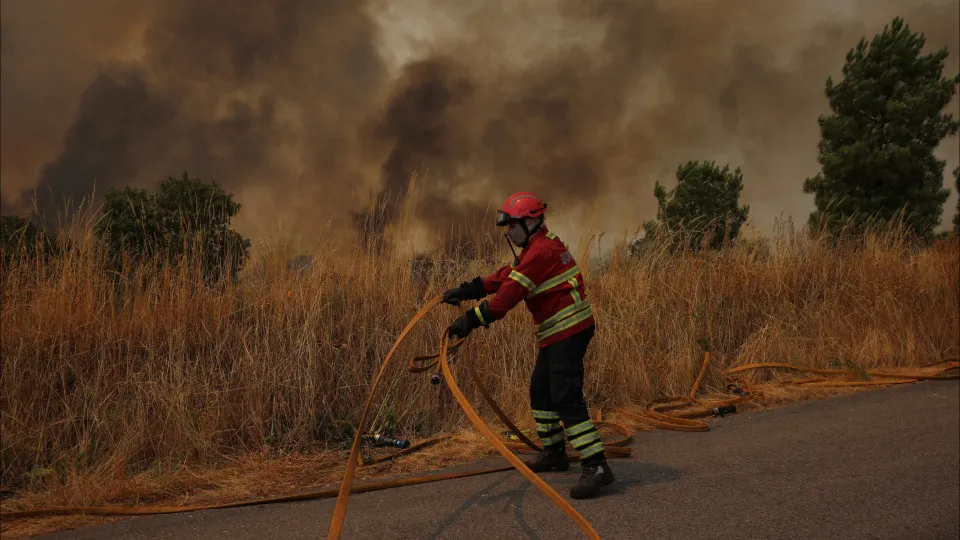 91% da área ardida em 2025 causada por 44 fogos, conclui relatório