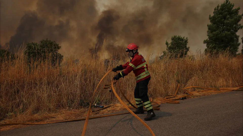 Incêndios: Intervenções em Tondela deverão arrancar até final de setembro