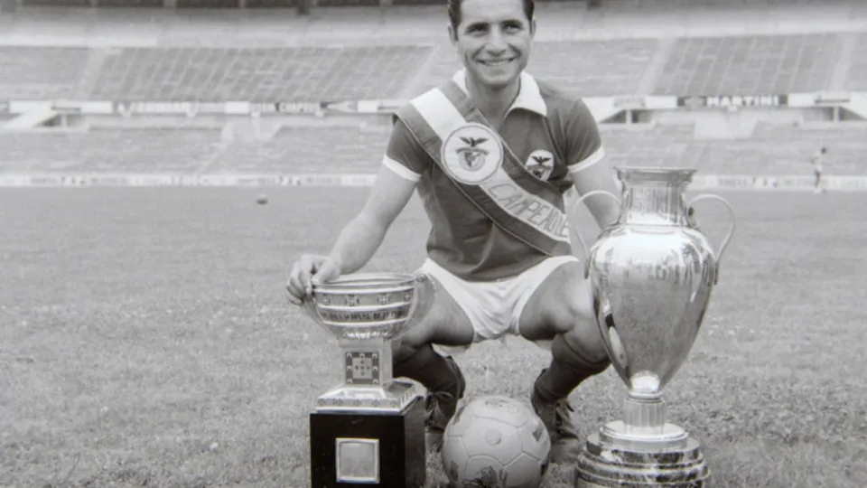 Fernando Cruz