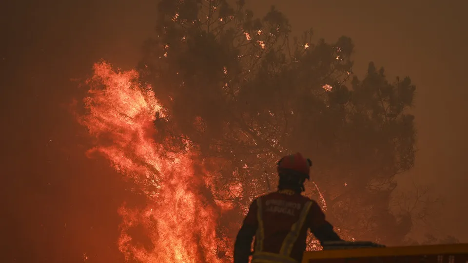 incêndio, Trancoso