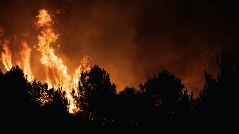 viseu, incêndios, fogo, chamas