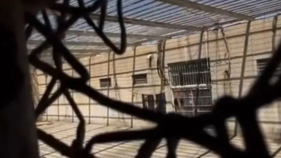 AP gravou conversa entre duas crianças palestinianas numa prisão? É falso
