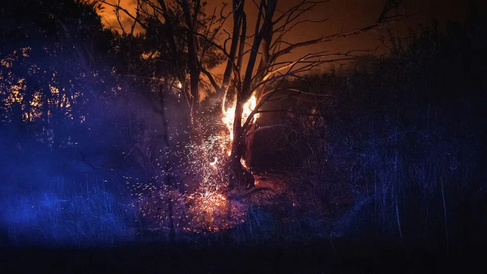 incêndio, fogo