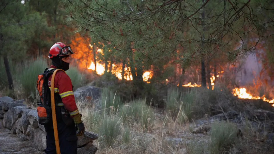 Viseu, incêndios, fogos