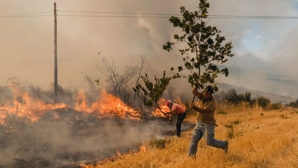 Fogos, Incêndios, Portugal, 