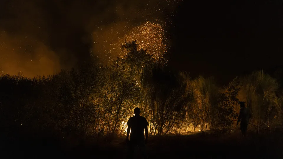 Fogos. Câmaras de Aljustrel e Alandroal criticam falta de apoios