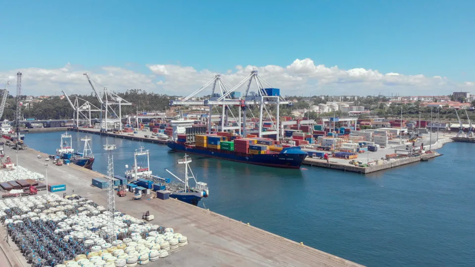 Marina do porto de Leixões vai ser relocalizada: Saiba tudo