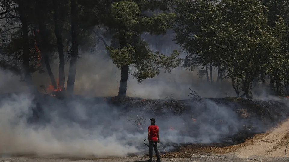 Incêndios, Fogos, Portugal, 