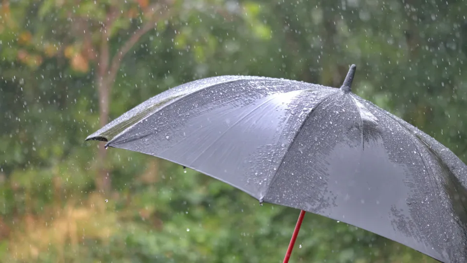 chuva, guarda-chuva