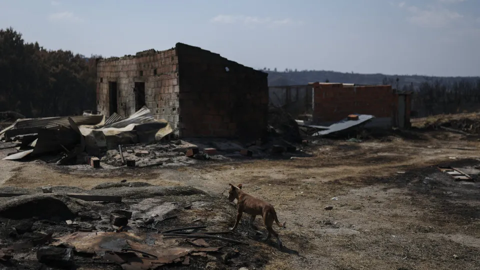 Incêndios em Portugal
