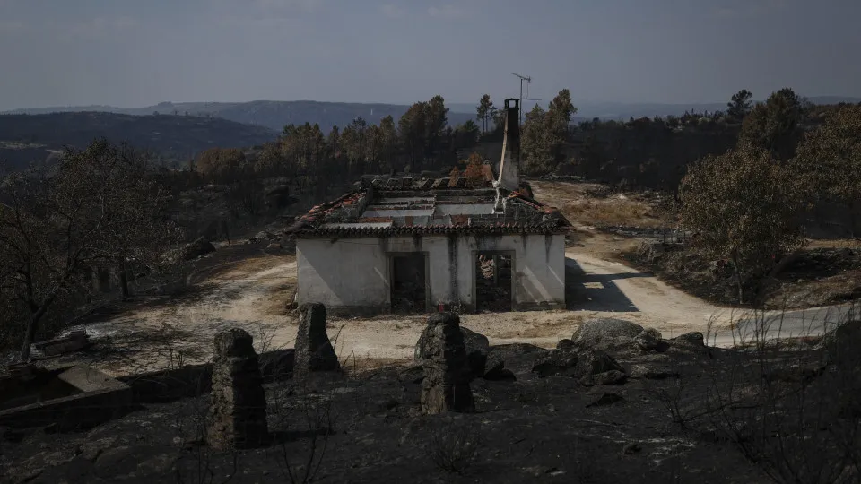 Incêndios Portugal ; Fogos ; Trancoso ; Área ardida