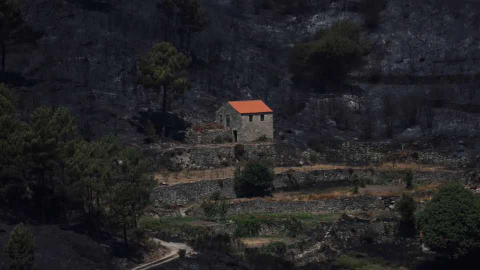 Incêndios em Portugal