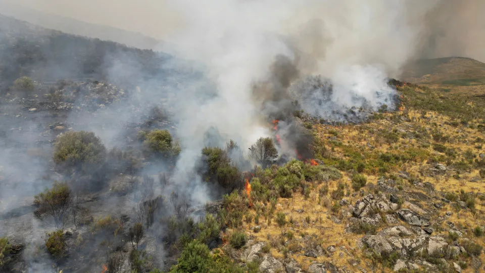 Incêndios em Portugal
