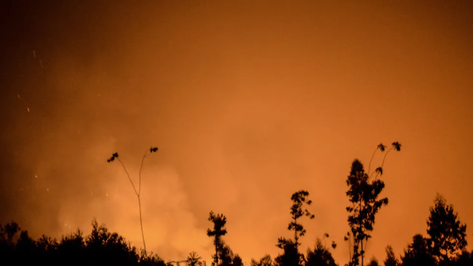 Incêndio pedrógão